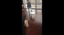 Robot vacuum cleaner for a toy carrier