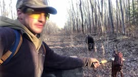 Hand Feeding a Wild bear