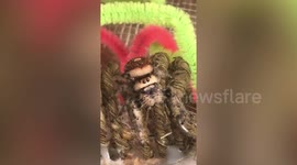 Cute spider named 'Webora' waves her arms while relaxing in tub