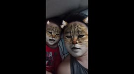 Most adorable 'baby cat' and 'father cat' ever