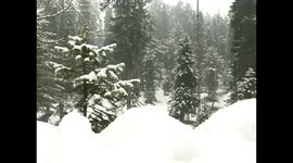 Fresh snowfall in Gulmarg Jammu and Kashmir