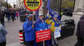 Smiling EU stayers  outside Parliament slow motion