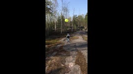 Small dog gets crazy about a balloon