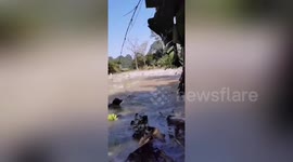Dozens of fish leap out of pond after earthquake in south China