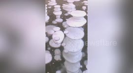 Stunning frozen methane bubbles spotted in northern China's Lotus Lake