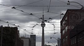 College and university area near UofT in Toronto where several incidents of a suspect dumping feces on students have recently occurred