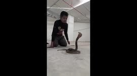 Snake catcher charms King Cobra in Thailand