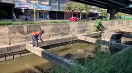 Motorcycle rider rescues drowning dog from canal in Thailand