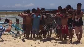 Delighted children carry 700lb swordfish ashore in the Philippines