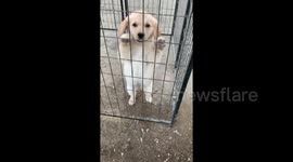 Get Me Outta Here!