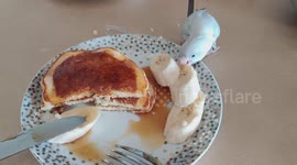Cheeky Bird Steals Banana Pancakes