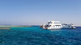 Tourists Enjoy Summer Vacation In Tiran Island Sharm El Sheikh