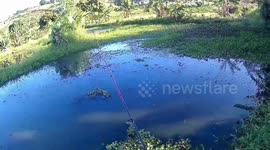 Fishing traira in a small pond