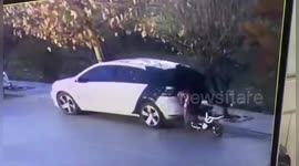 Biker smashes through car window in China after looking at phone while driving