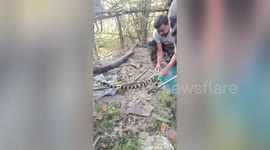 Deadly venomous snake trapped under fishing net rescued in southeast India