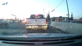 Confused driver on wrong side of road