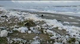 Famous beach in south India flooded with 'toxic foam'