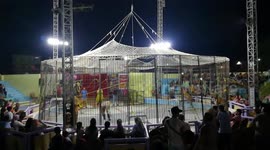 Strong Women Knows How To Control Lions In Circus