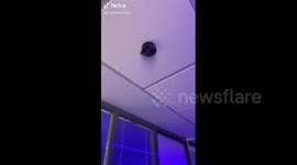 Romanian man makes TikTok recording Amazon Alexa's 'evil laugh'