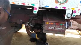 Eight-foot-python found wrapped up around truck in south-east India
