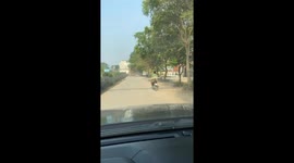 The man carrying the dog in the back of the motorbike moving on the road