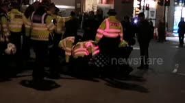 Protestor arrested at anti-Trump protest outside Buckingham Palace