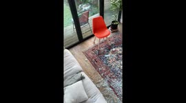 The Aftermath of the broken window