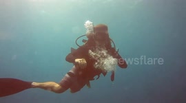 Diver makes magic bubble rings!