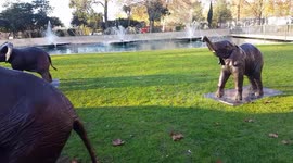 Politicians attend unveiling of 21 life-sized bronze elephants at Marble Arch, London