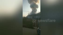 Seven killed in firework factory explosion in south China