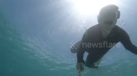 Snorkler swimming with a wild green turtle in crystal blue waters.