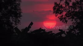 Swallows fly past a tropical sunset in Thailand.