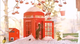 A top wildlife photographer has captured squirrels and birds getting in the Christmas spirit - by sending cards and 'nattering' on a tiny phone