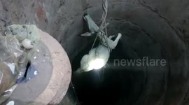 Cow that fell into 120ft deep well is rescued by kind villagers in central India