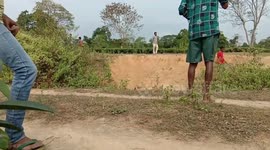 Herd of wild elephants chase after forest workers in rural east India