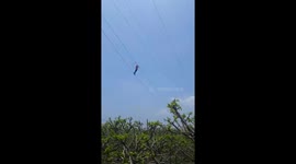 Vietnamese electrical worker swings on high-voltage wires at frightening height