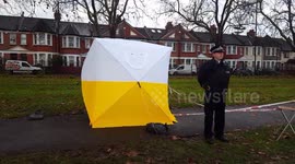 Police probe launched after 14-year-old girl raped in north London park