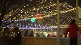 Christmas lights & New Year eve trees and ornaments
