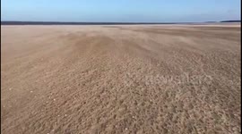 Windstorm on beach