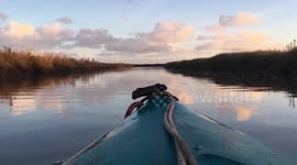Kayaking through reeds in the North Sea