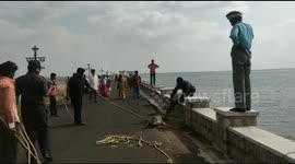 Crocodile returned to reservoir after scaling steep wall in India