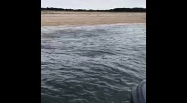 Epic Snapper Blitz!