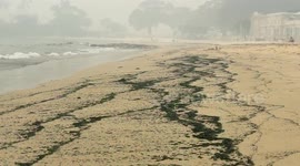 Ash from Australia's bushfires washes up on Balmoral Beach as smoke blankets Sydney's skyline
