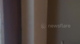 Snowstorm on Strandir. North-West Iceland