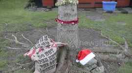 Grandparents celebrate granddaughter's first Christmas by planting a Christmas tree and watching it grow as she does over three decades