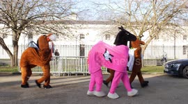 London Pantomime Horse Race sees panto horses race through Greenwich