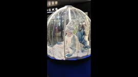 Frozen Princess