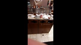 Timhortins corner brook Murphy square Newfoundland