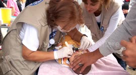 Paramedics and doctors offer help at overcrowded refugee camp in northern Greece