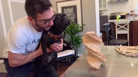 Construction block fail in slow-motion